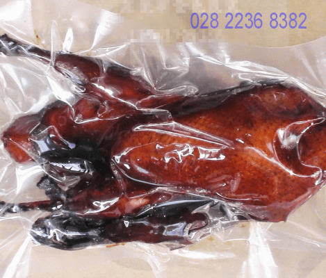 máy hút chân không công nghiệp DZ-500 CƠ