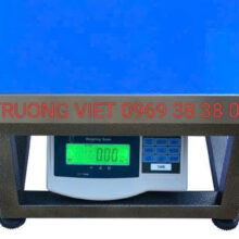 Cân điện tử ghế ngồi 300 kg
